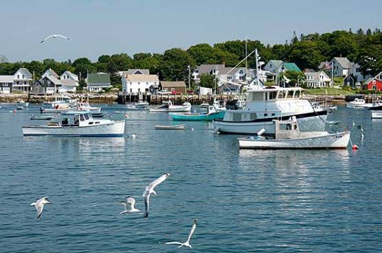 vinalhaven-carver-harbor